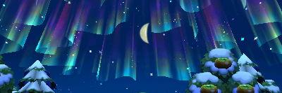 Haiden Coates banner