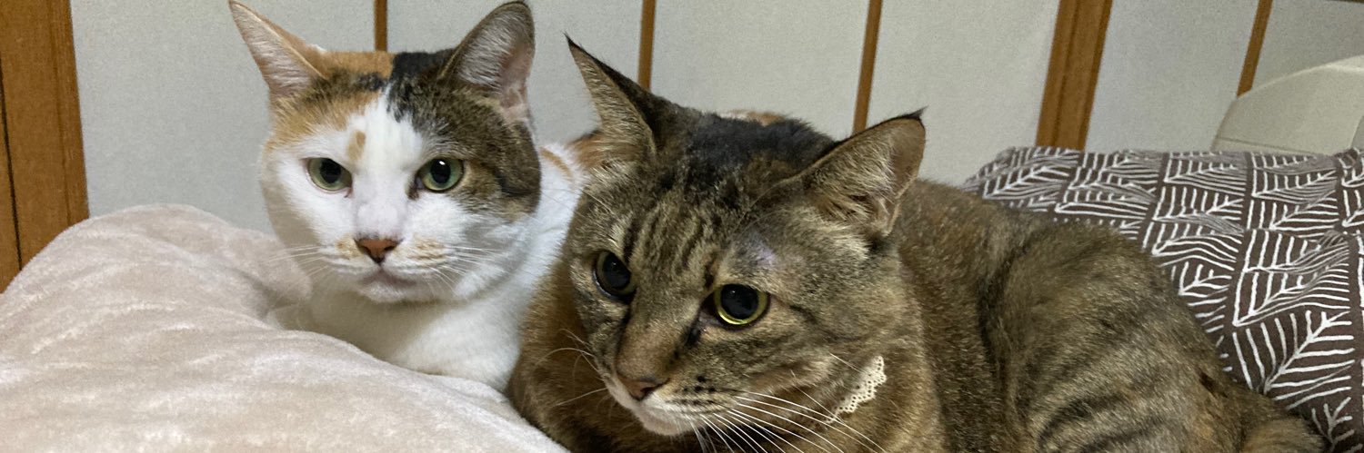 ガブリエル・ジュン（🐈‍⬛再出発） banner