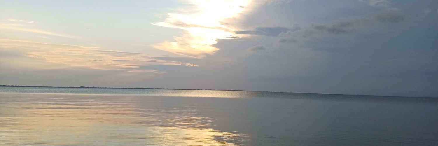 Carolayne_07's profile banner image