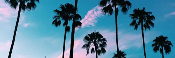 Suying_16's profile banner image