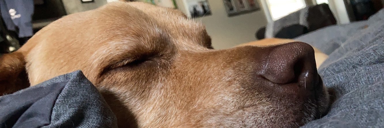 brooklyn_beard's profile banner image