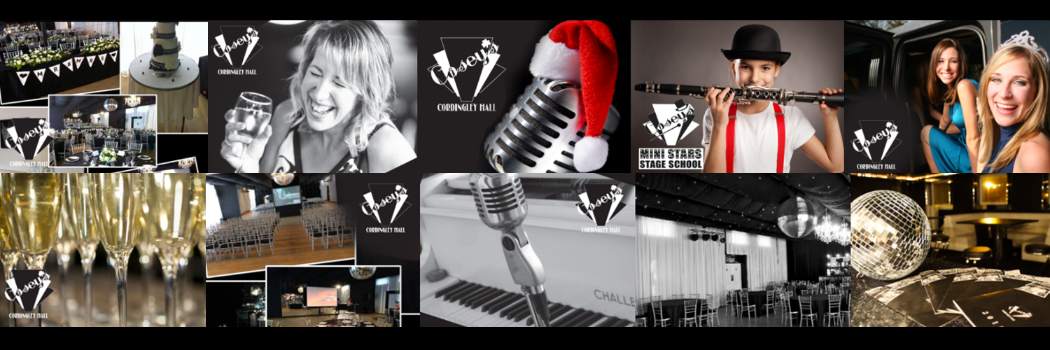 Caseys Venues banner