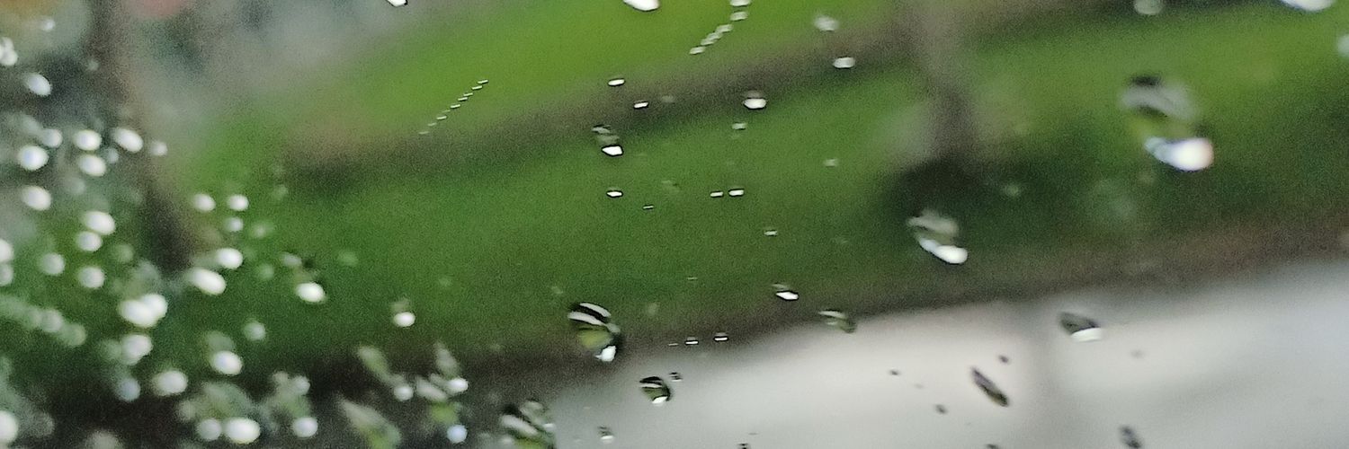 SennySillva's profile banner image