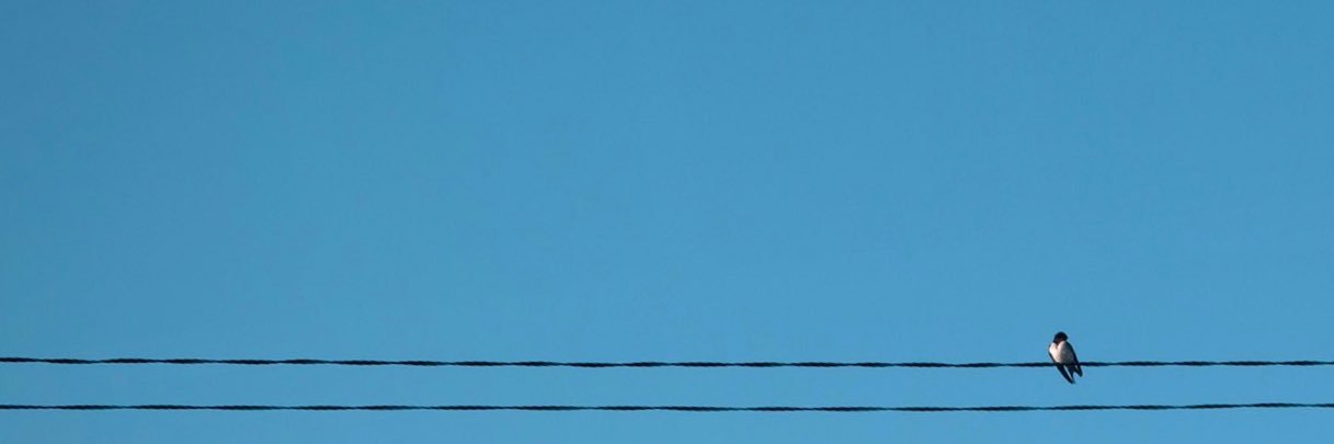 uccangg's profile banner image