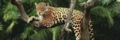 Erasmo Nascimento🇧🇷 banner