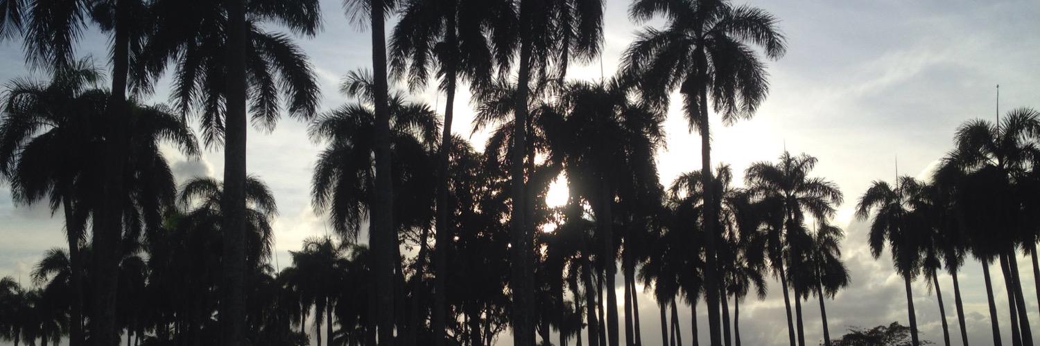 e n r i : ) banner