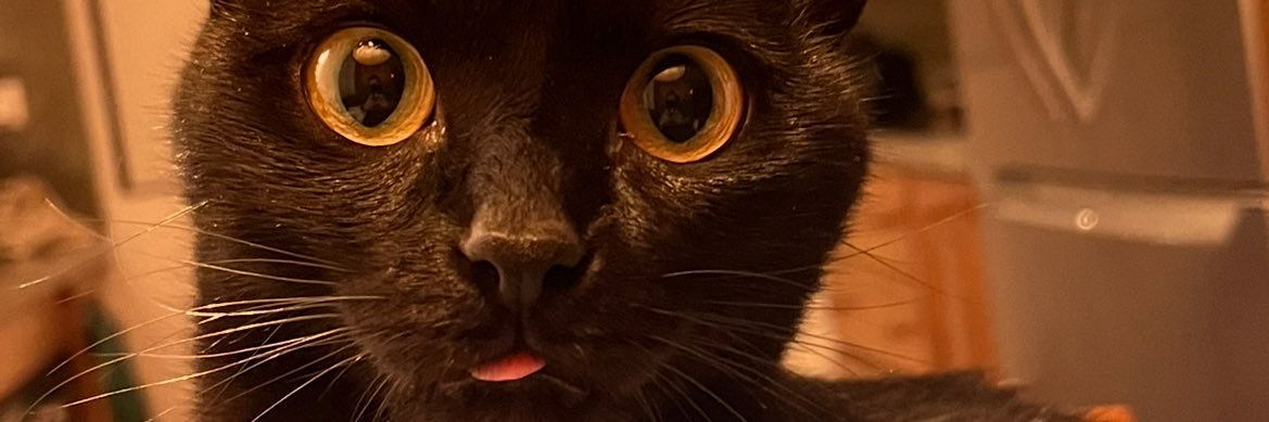 Jacky 🫐🌿 banner