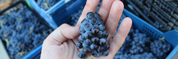 DOSalamanca Profile Banner