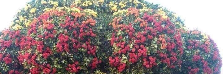 hmntkumar32's profile banner image