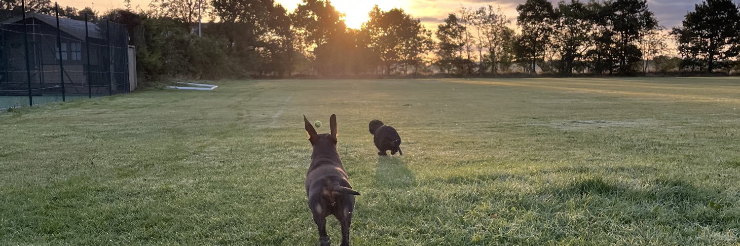 Michael Potts banner