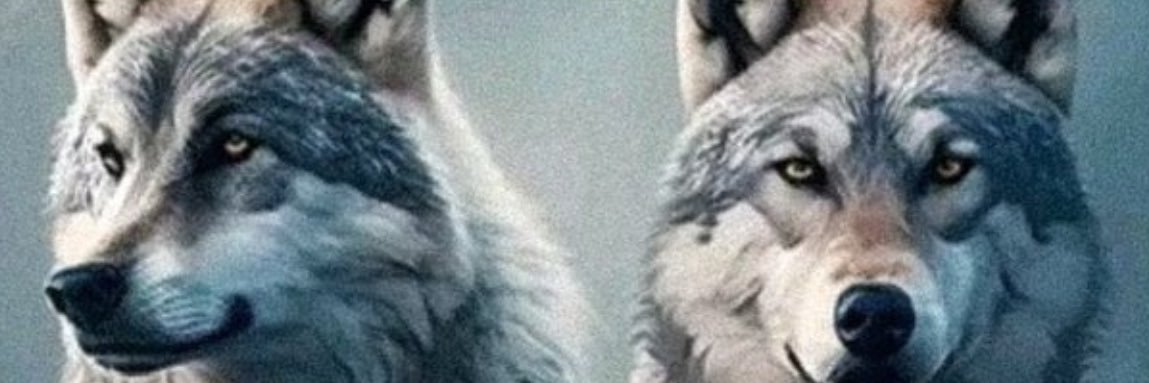ESERR48's profile banner image