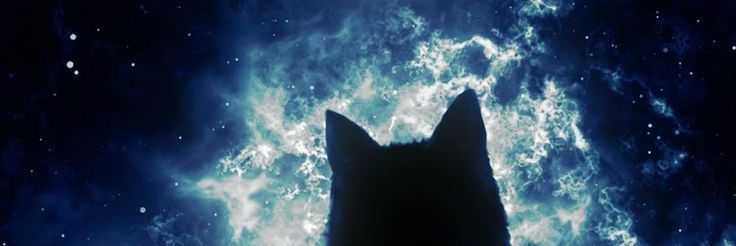 alegonzamaa's profile banner image