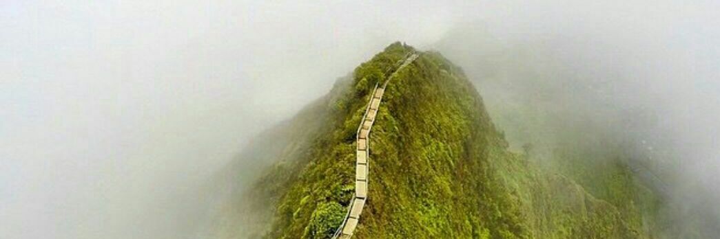 Sina🏳🇮🇷 banner