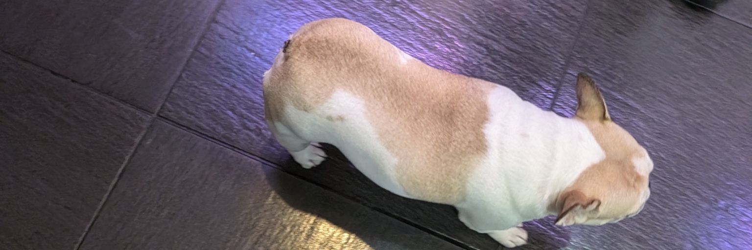 tomokiDrunkDust's profile banner image