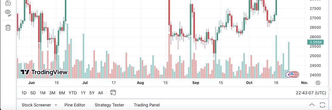Catfish👻🥷(PARODY) banner