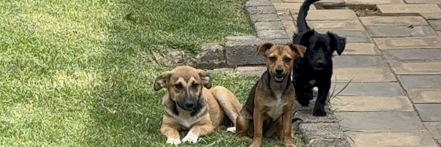 Morgz 🤟🏾 banner