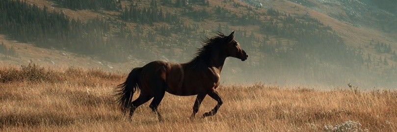 Lujainh2's profile banner image