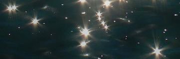 detective pp. decker banner