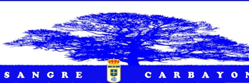 Ramón Roldán banner