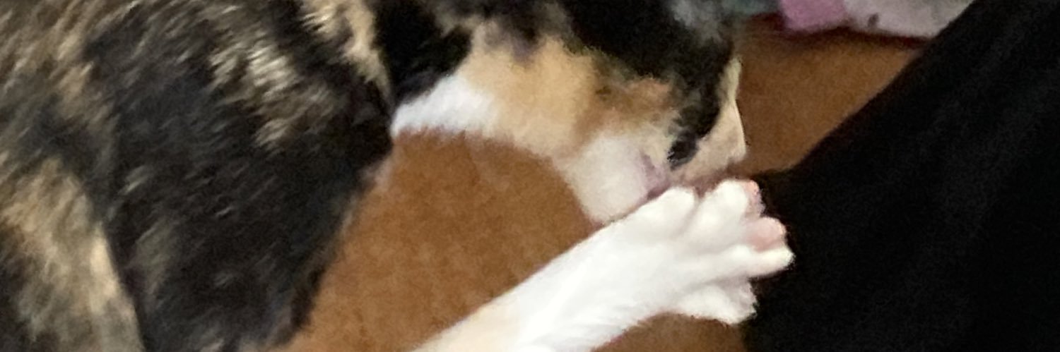 biobenny's profile banner image