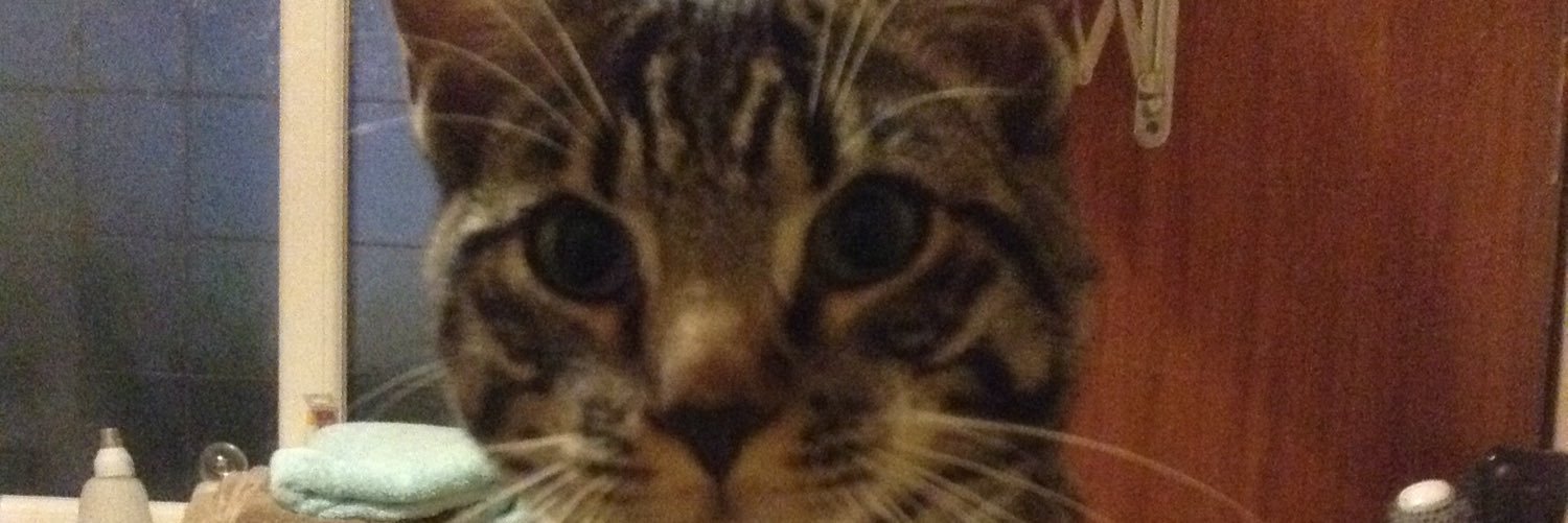 Aferns05's profile banner image