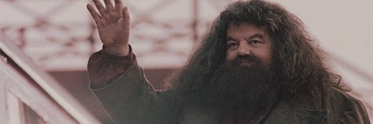 Hagridstty's profile banner image