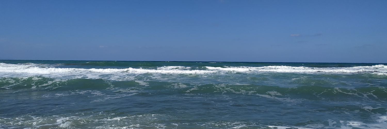 d_lebedeva's profile banner image