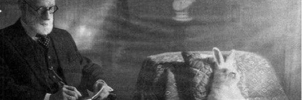 C0unsel0rX Profile Banner