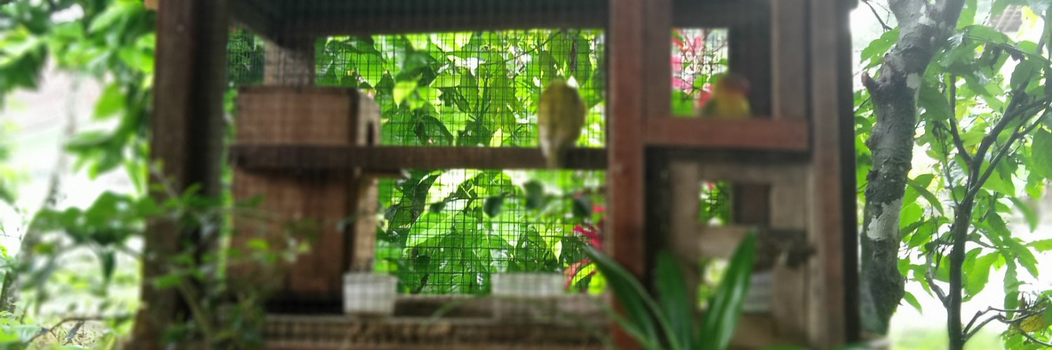 arti_tin's profile banner image