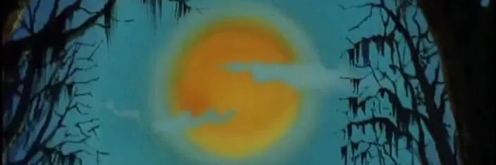 TurtleVsTiger's profile banner image