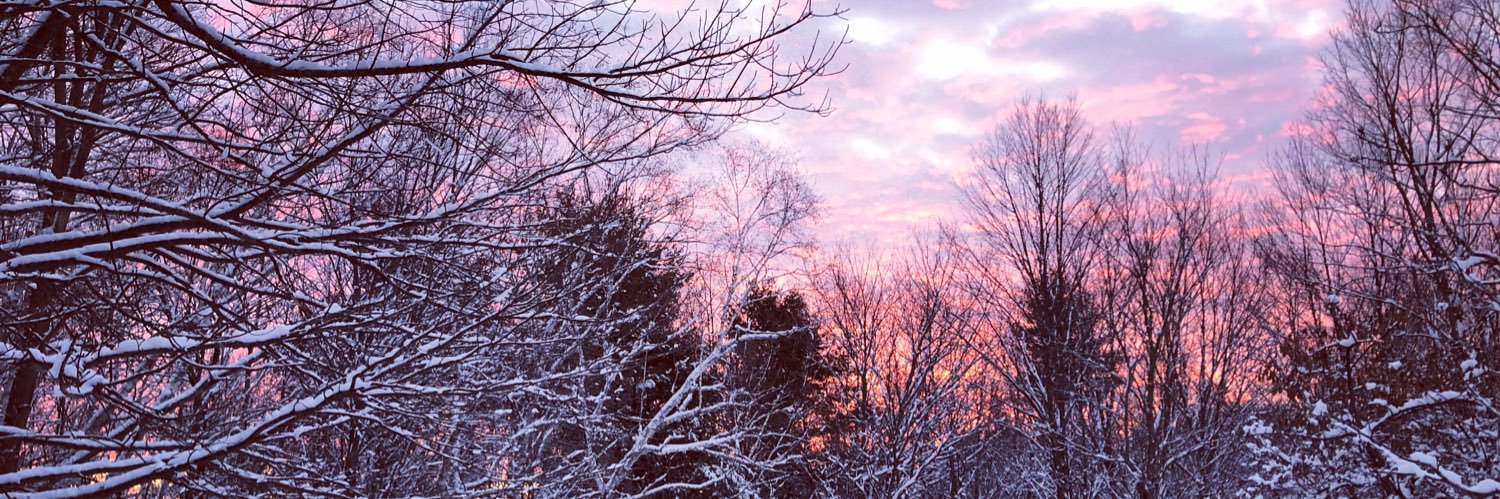 Abbey Randall banner