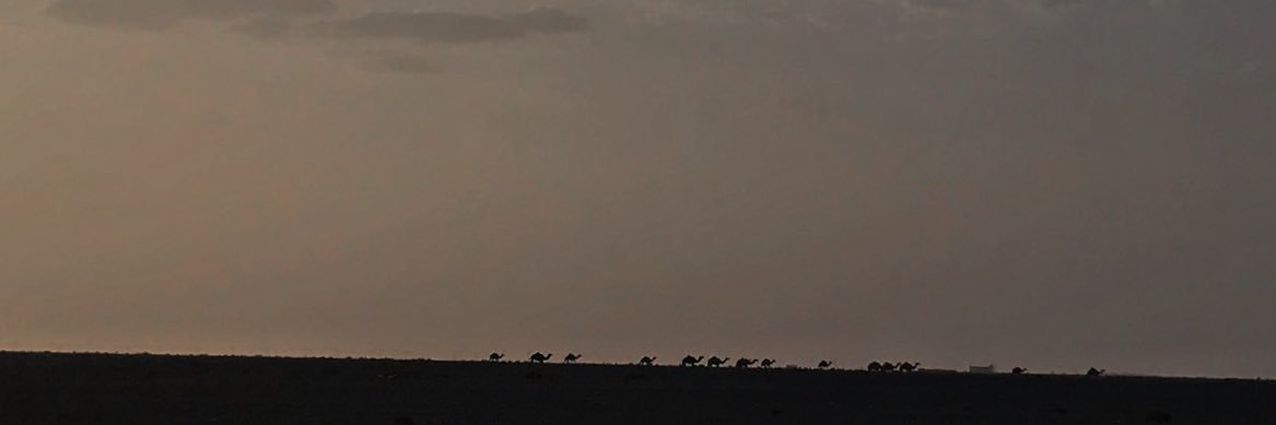 c__a1's profile banner image