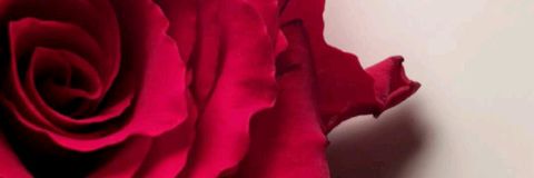 zsssssi90's profile banner image