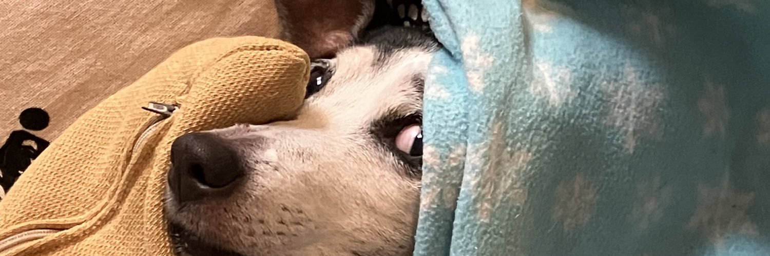 Simozzzzz's profile banner image