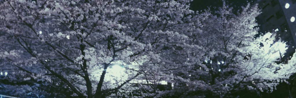 Junan banner