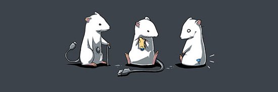 divacharting's profile banner image
