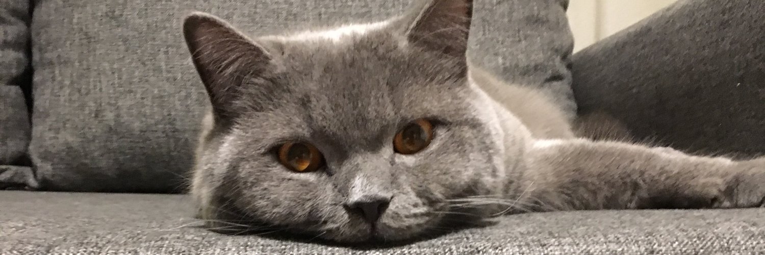 tsknseda's profile banner image