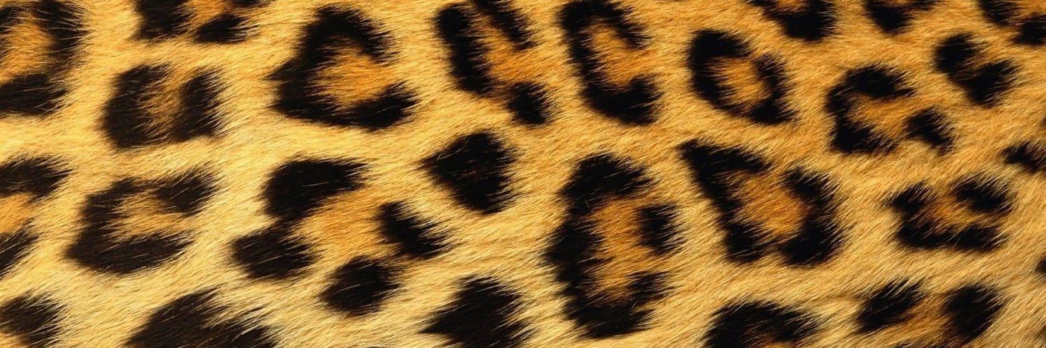 pamelarn81's profile banner image