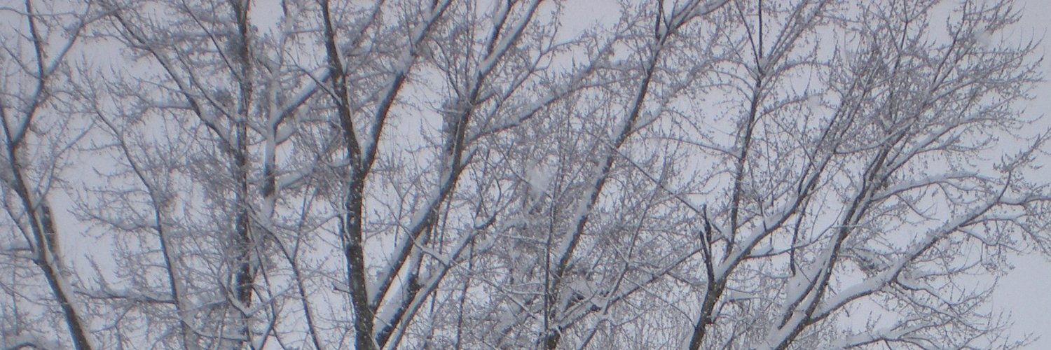 TheOxygenFiends's profile banner image