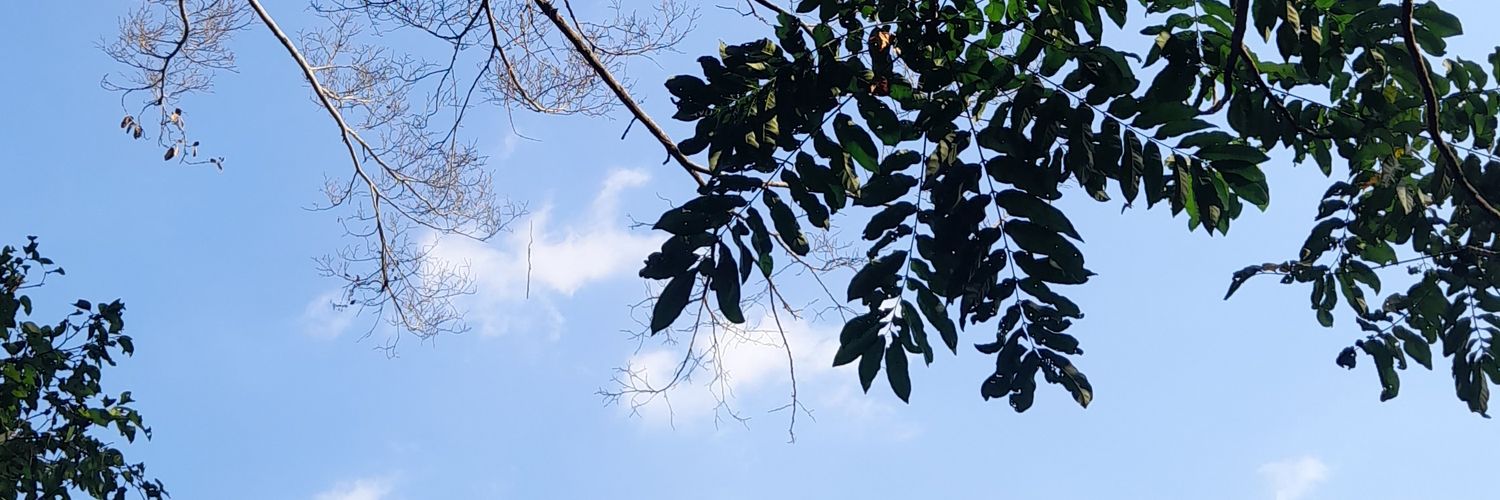 eshtaoctaa's profile banner image