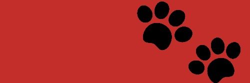 𝐂𝐞𝐫𝐛𝐞𝐫𝐮𝐬, 𝐓𝐡𝐞 𝐓𝐫𝐢𝐩𝐥𝐞 𝐃𝐞𝐦𝐨𝐧 banner