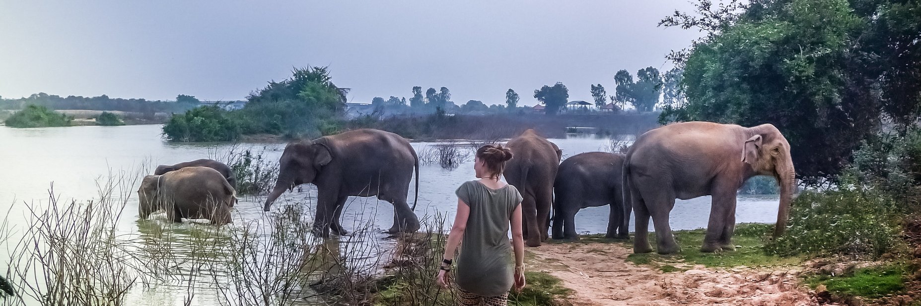 GetUp.GetOut.GetLost banner