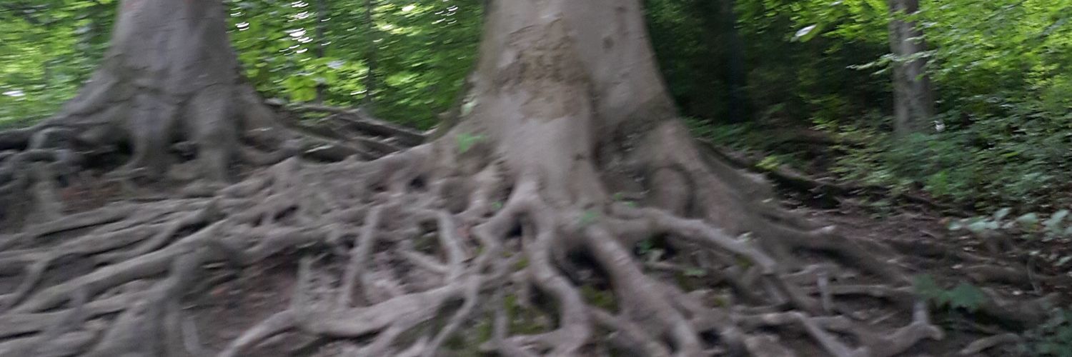 MamasilProf's profile banner image