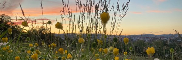 schnizzl Profile Banner