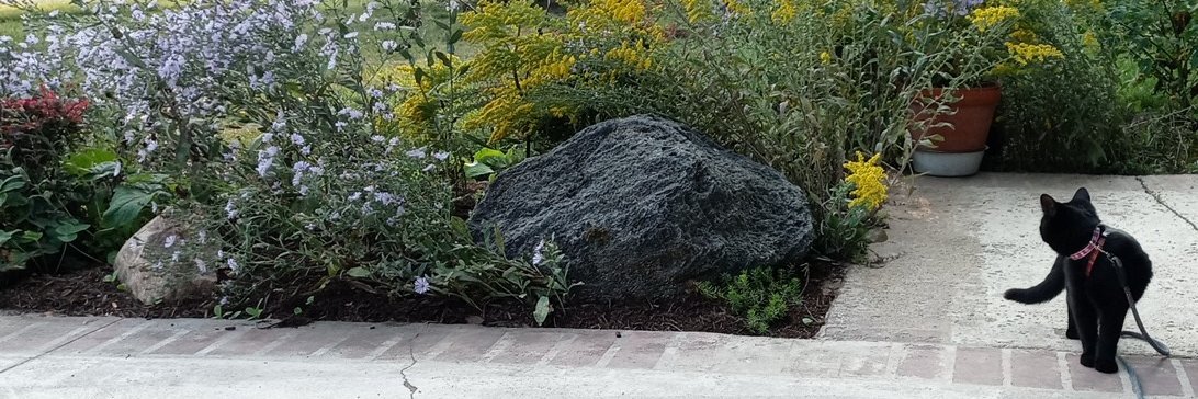 YourNatureBoy🌳🌻🌿 banner