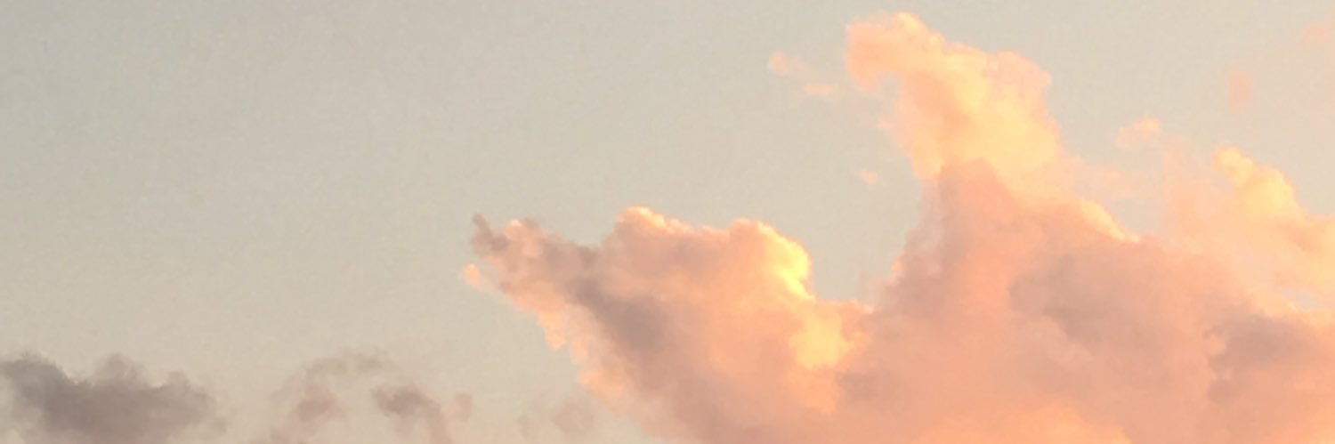 _srxn's profile banner image
