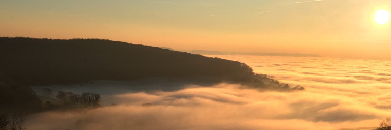 DogFosterer's profile banner image