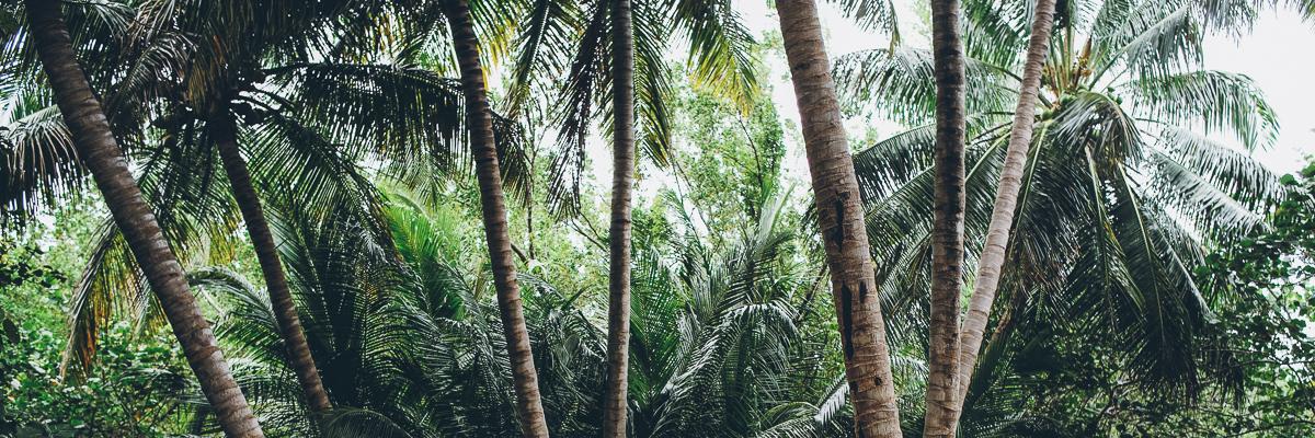 ( ͡ಠ ʖ̯ ͡ಠ) banner