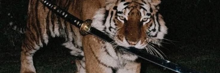Elijahzada's profile banner image
