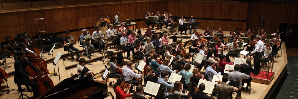 Fulham Symphony Orchestra banner